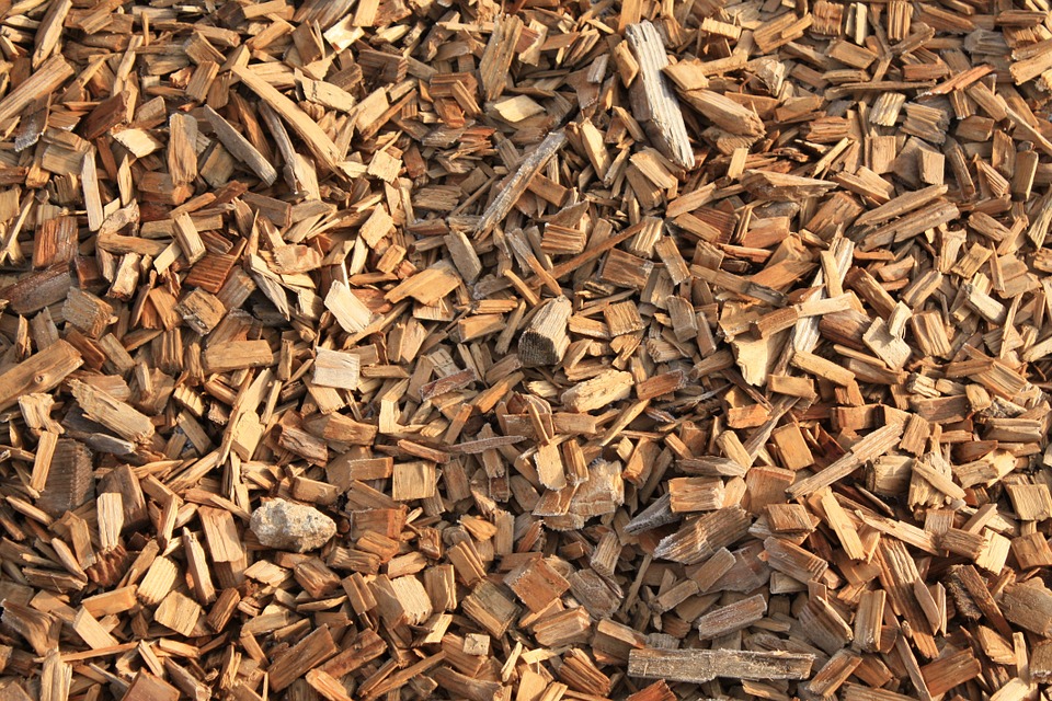 Oproep aan Wiebes: Stop per direct met de bijstook van biomassa in kolencentrales