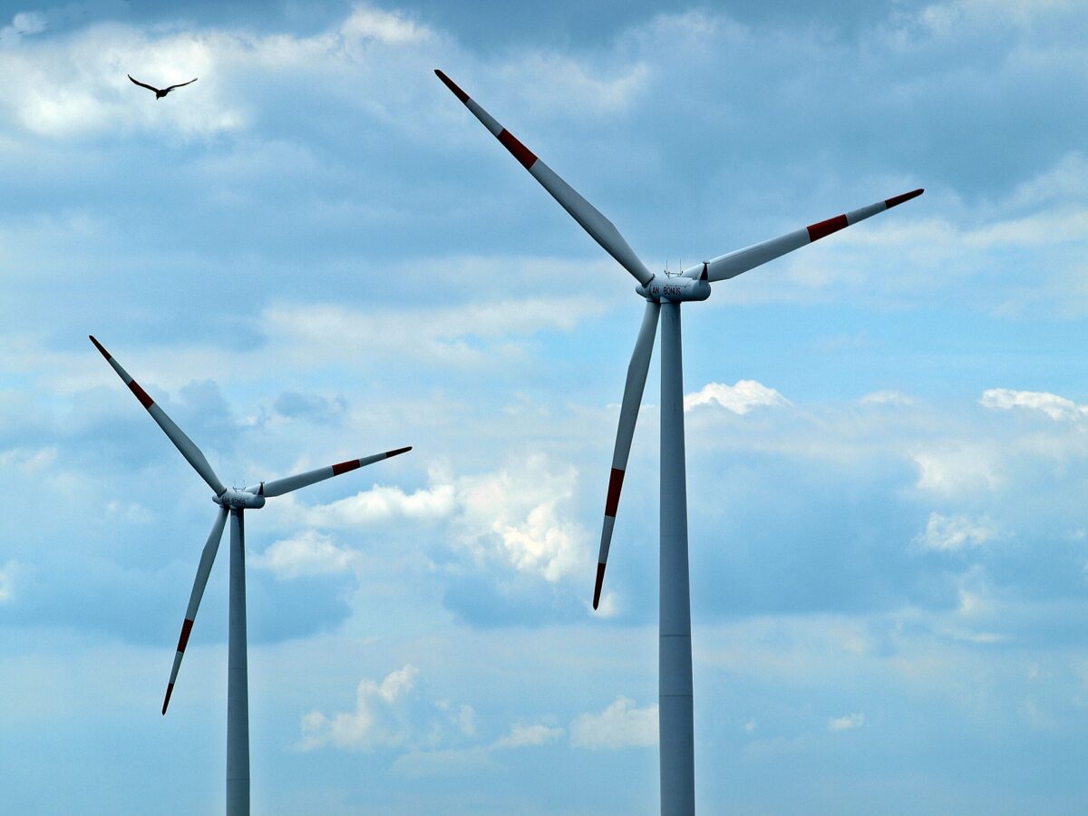 Bouwstenen voor natuurinclusieve energietransitie wind en hoogspanning op land
