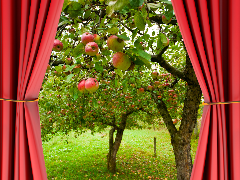 De Appelboomdroom: theater in het voedselbos